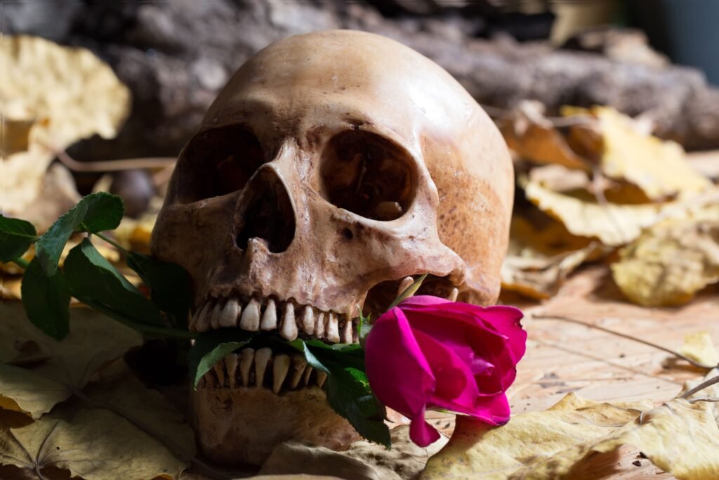 Caveira com uma rosa na boca.