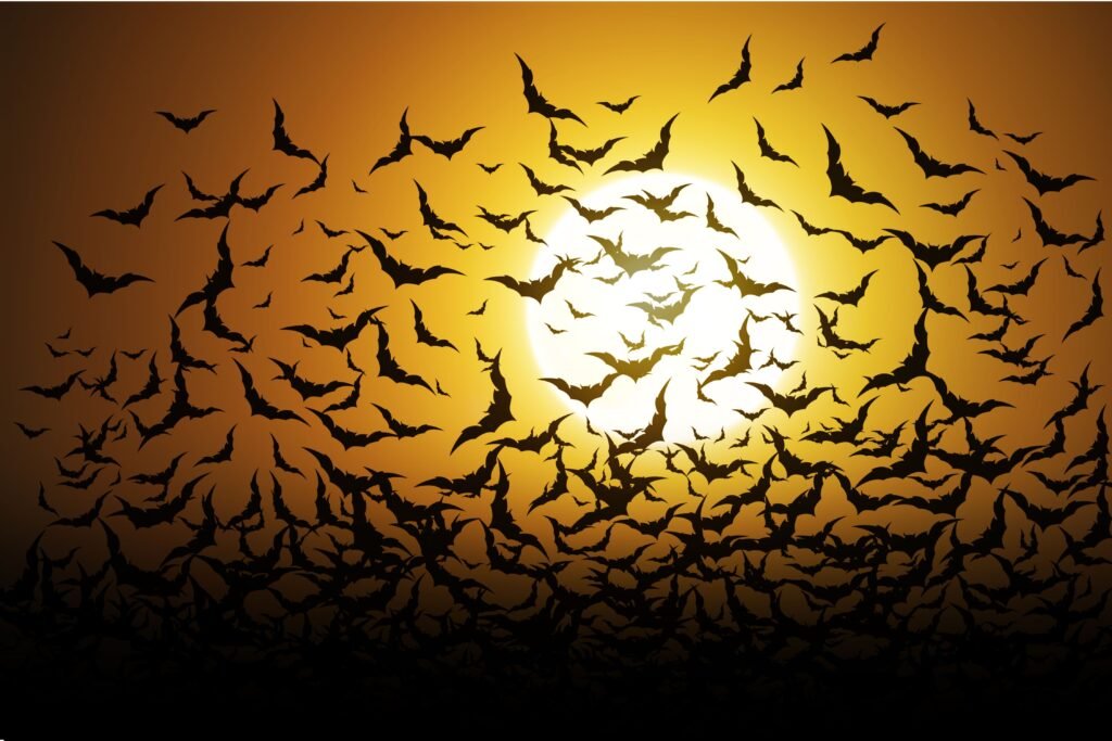 Bando de morcegos com a lua de fundo.